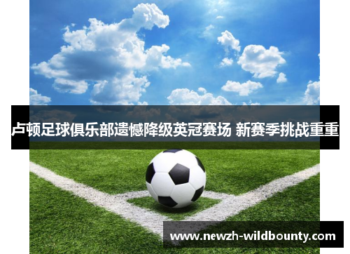 卢顿足球俱乐部遗憾降级英冠赛场 新赛季挑战重重