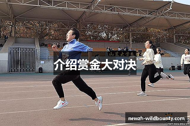 介绍赏金大对决